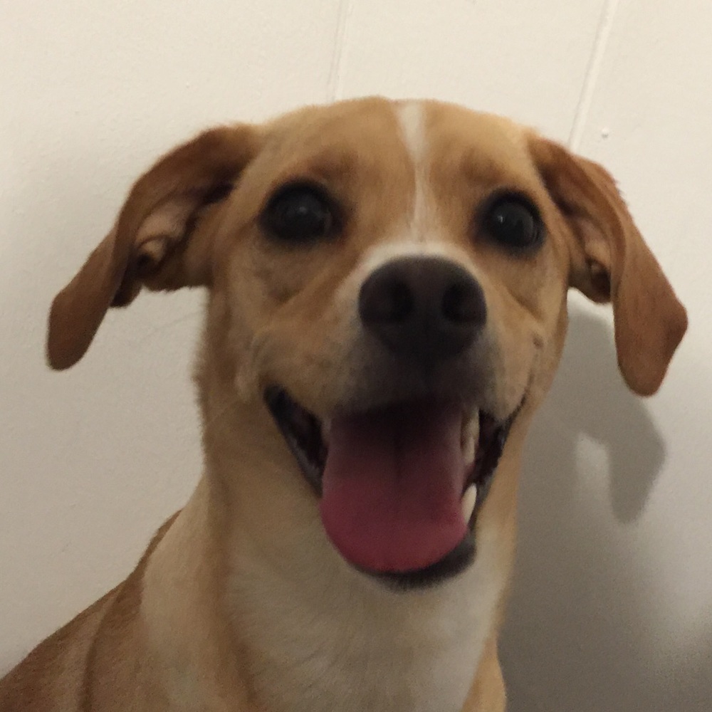 Meet your Posher, Sherry